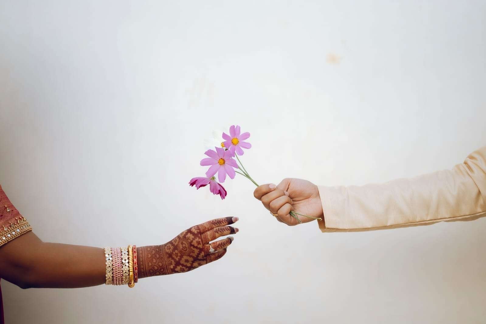 Wedding Pandas Photography portfolio