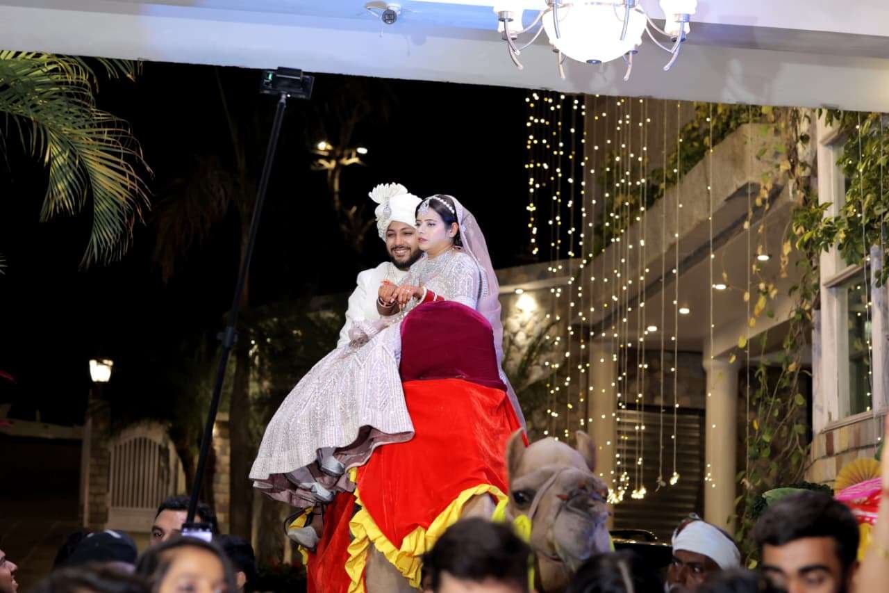 The Wedding Art portfolio